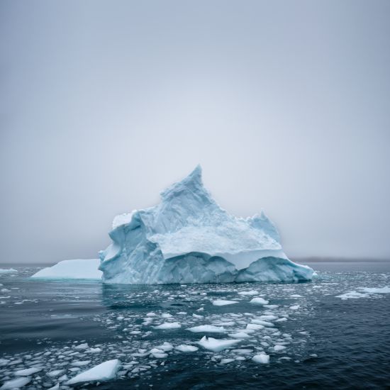 ARCTIC BERGS