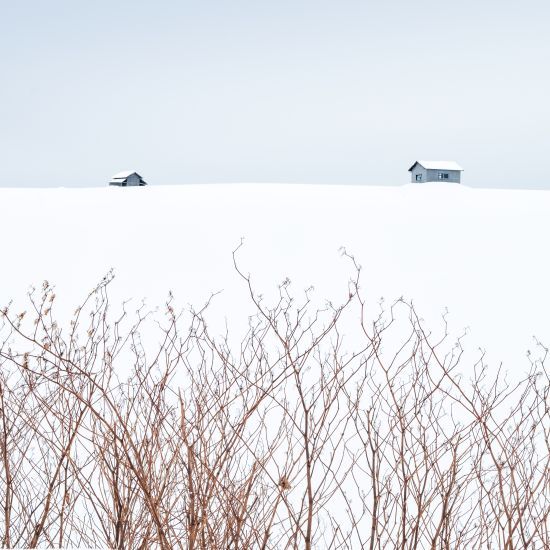 HOKKAIDO - WINTER