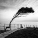 D19-05-318-Edit