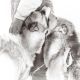 Animals 4