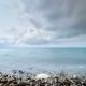 Coast 5