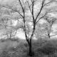D20-09-0141-Edit