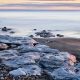 Coast 9