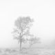 D23-12-0041-Edit