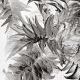 D25-03-0385-Sepia LM 2D