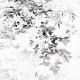 D25-06-0003-Edit