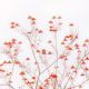 F23-02-0100-Edit