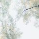 _52A3341-Edit